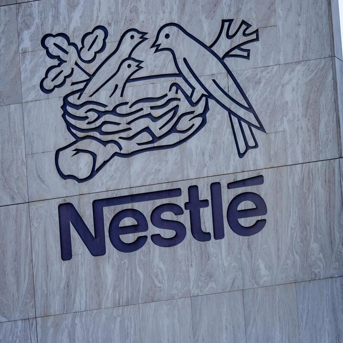 For some experts, reputational risk to Nestle's brand is their main concern rather than the absolute financial impact of the recall. 