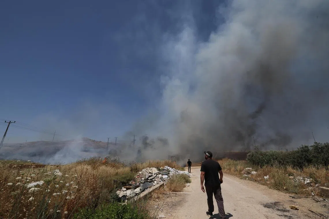 Facing settler violence, Palestinian farmers race to harvest