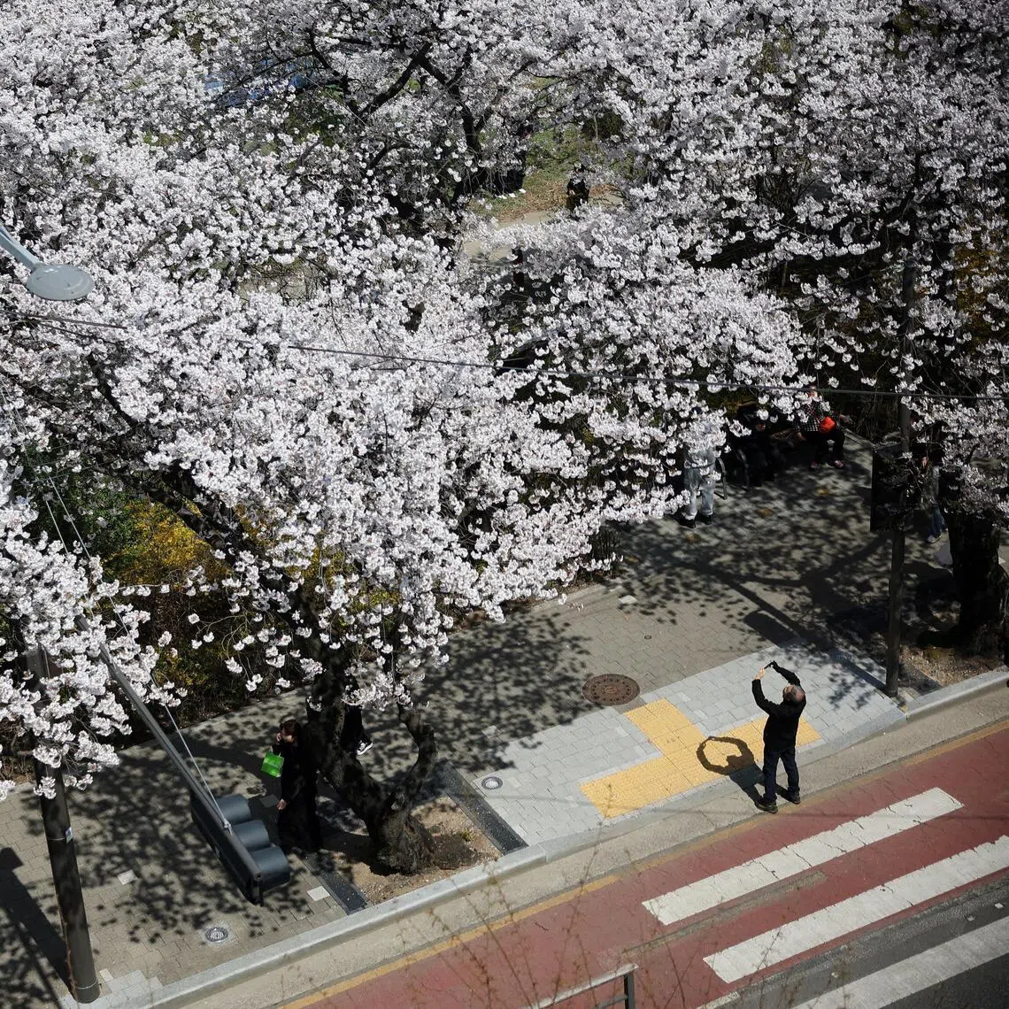 Spring is the season when Seoul’s mountains come alive, and when hiking trails open into panoramic views.