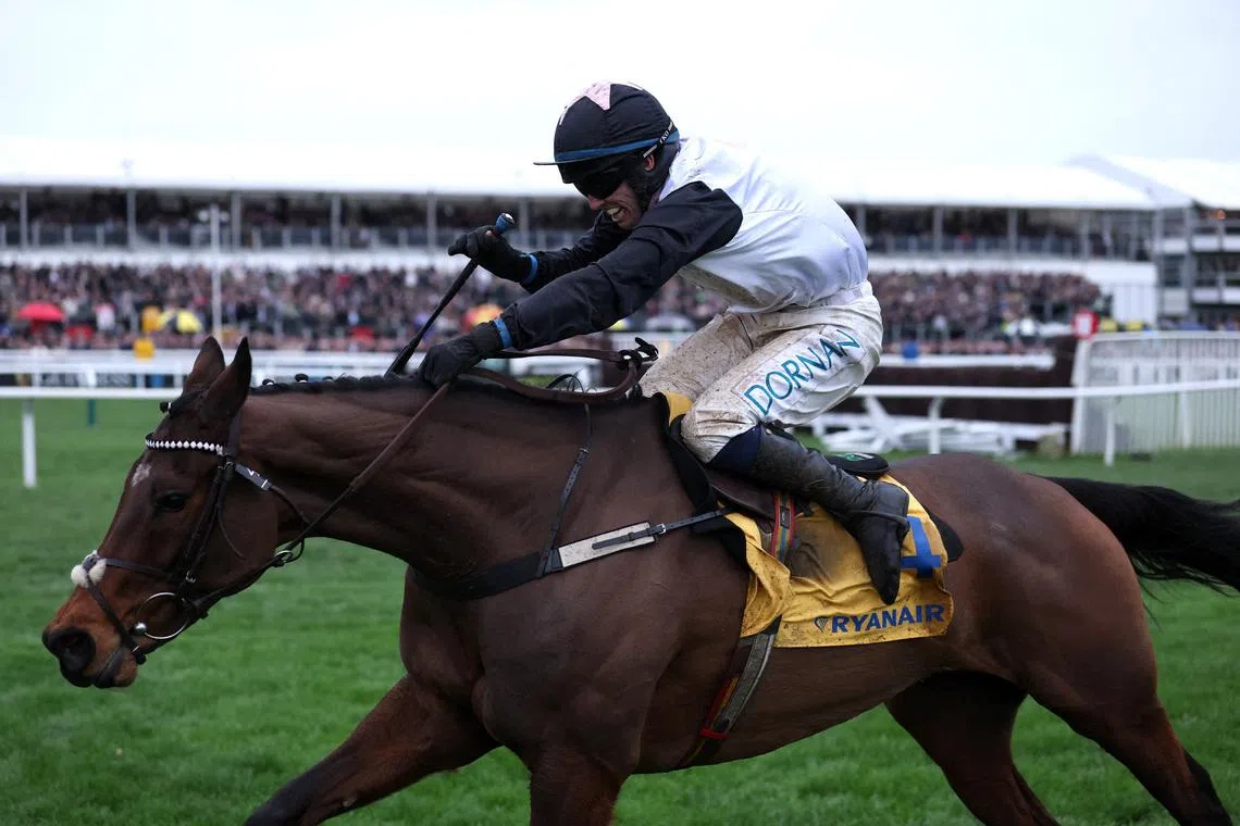 Horse Racing - Cheltenham Festival - Cheltenham Racecourse, Cheltenham, Britain - March 12, 2026 Heart Wood ridden by Darragh O'Keeffe in action on their way to winning the 16:00 Ryanair Chase Action Images via Reuters/Paul Childs