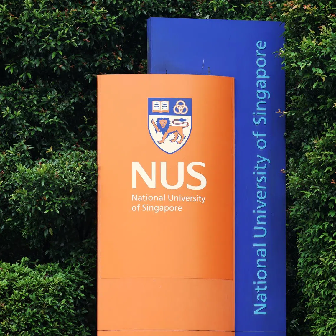 NUS said it will take responsibility for the AI prompt.