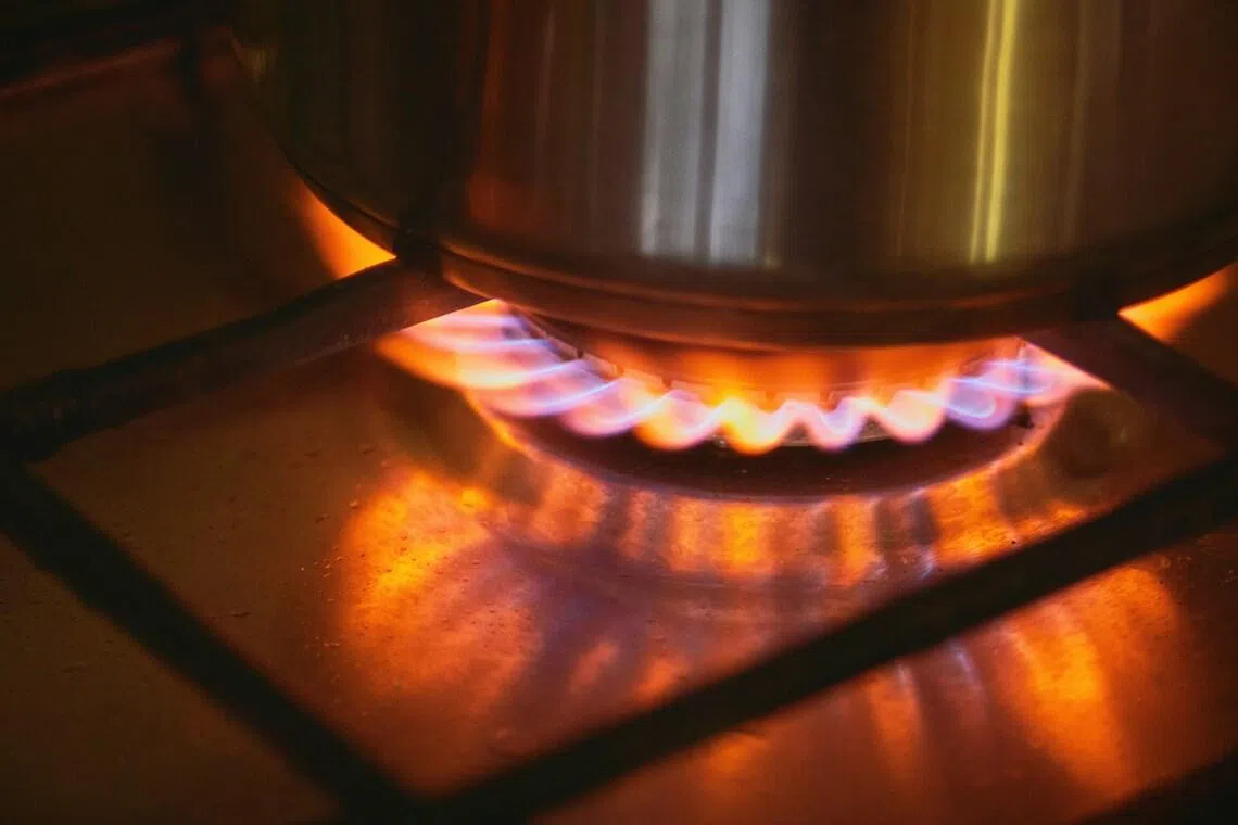 Such stoves, also known as plasma stoves, are not eligible for Safety Mark registration and cannot be supplied in Singapore.