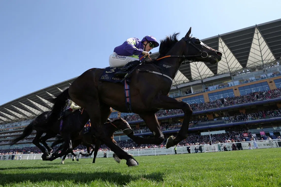 Jockey William James Billy Lee riding Carmers winning the Queen's Vase during the Royal Ascot 2025 held at the Ascot Racecourse, in Ascot, Britain, on June 18, 2025.