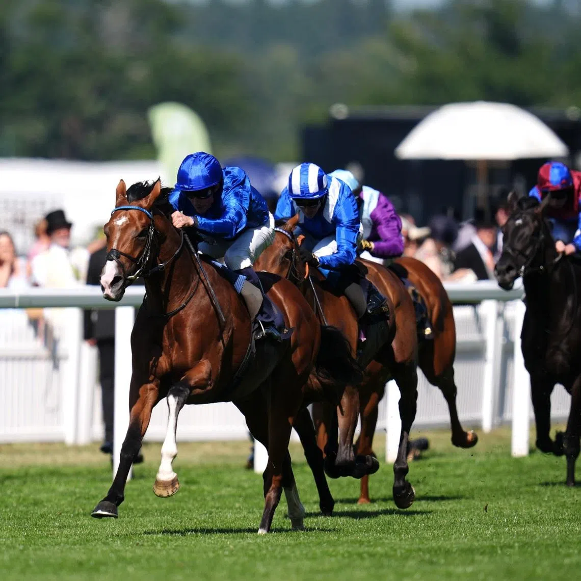 Ombudsman (William Buick) leaving runner-up Anmaat (Jim Crowley) in the dust in the 2025 Group 1 Prince of Wales's Stakes (2,100m) at Royal Ascot on June 18, 2025.
