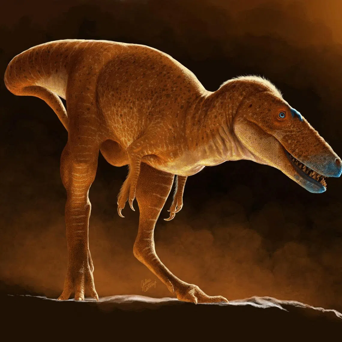 A life reconstruction of the newly identified dinosaur species Khankhuuluu mongoliensis, which lived 86 million years ago in Mongolia, is seen in this handout illustration released on June 11, 2025. Julius Csotonyi/Handout via REUTERS