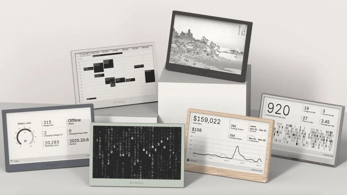 TRMNL | Compre Sorte do Zodíaco do Ano Novo Chinês