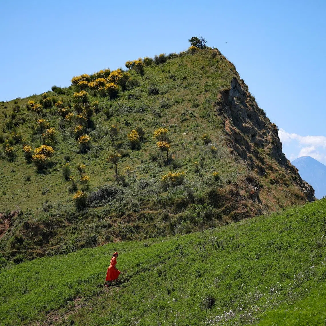 FILE PHOTO: A woman walks up a hill before a protest against a luxury resort plan by a company linked to U.S. President Donald Trump's son-in-law, Jared Kushner, on an environmentally sensitive part of the Adriatic coast, in Zvernec near Vlora, Albania June 6, 2026. REUTERS/Florion Goga/File Photo