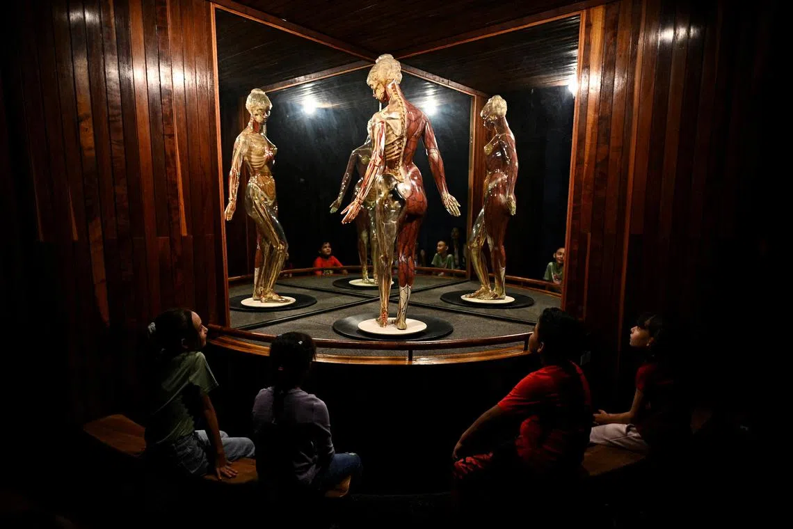 Kids watching an exhibition of the human body at the Children's Museum of Caracas, which reopened after almost three years.