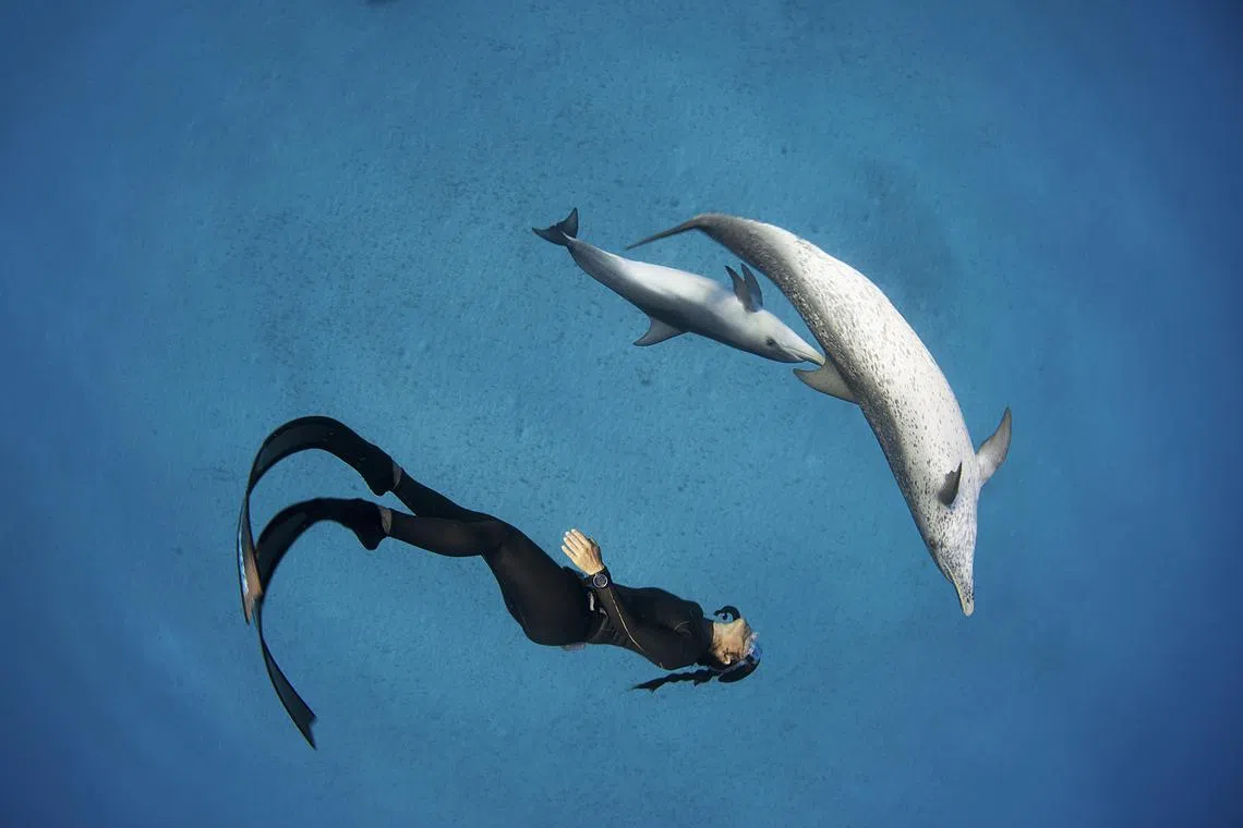 It is hard to see how researchers can succeed without deception, though this trickery is bound to raise hackles.