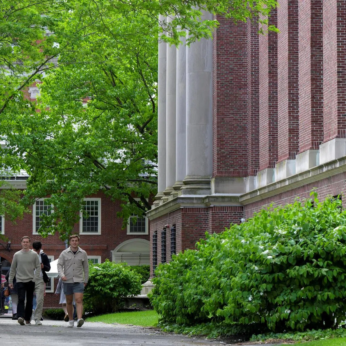 The F1 visa is a non-immigrant visa that allows international students to study in the US.