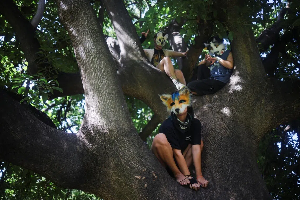 Teenagers who identify themselves as "Therians," a subculture whose members adopt animal characteristics, posing for a photo in a tree in Buenos Aires, Argentina on Feb 22, 2026. 