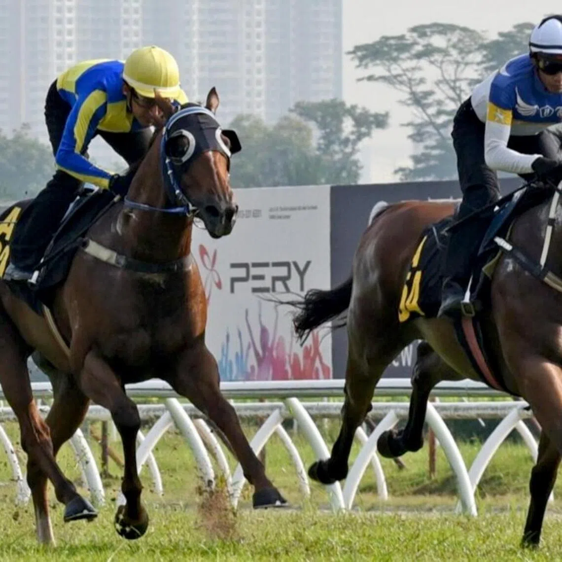 Perfect Return
PHOTO: SELANGOR TURF CLUB