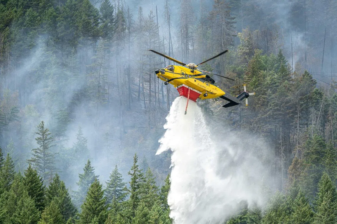 A helicopter drops water on the southern flank of the Brunswick Complex wildfires near North Bend, British Columbia, Canada, July 11, 2026.  BC Wildfire/Handout via REUTERS