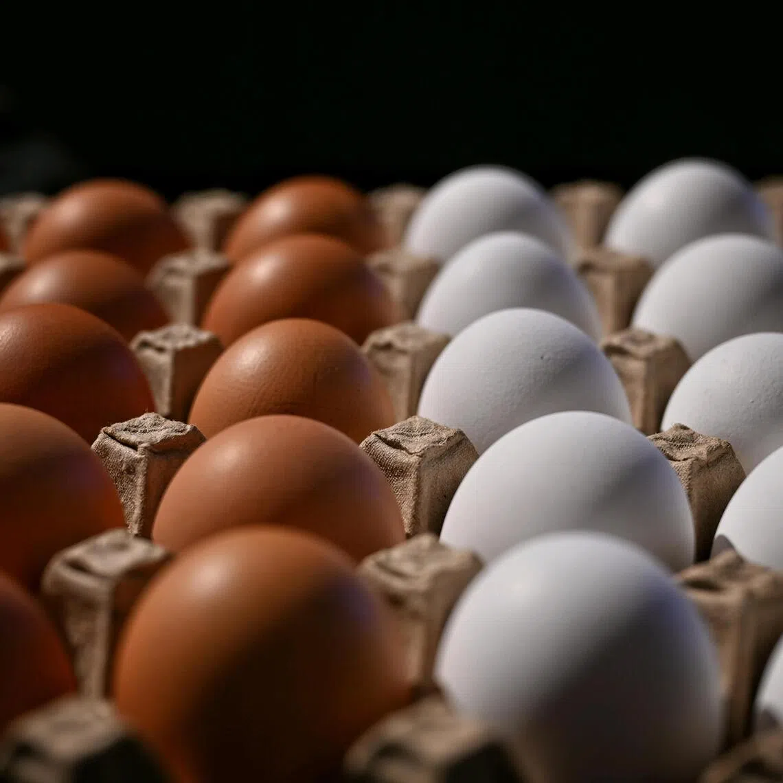 Under the settlement announced on Aug 5, three major US egg producers will donate 53 million eggs to food banks.