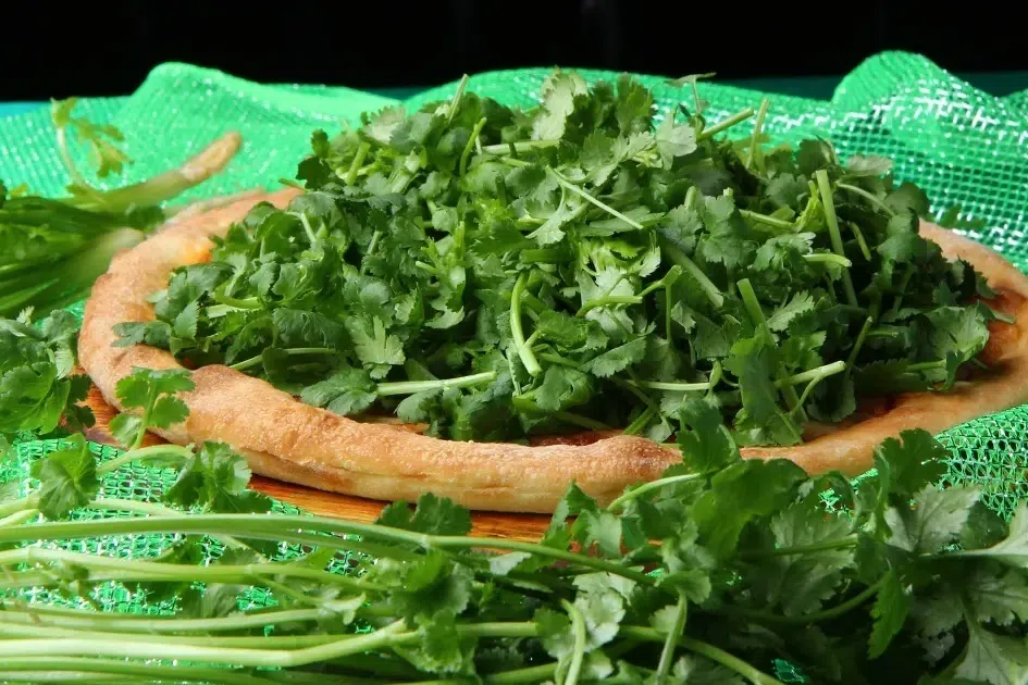 Pizza Hut Japan’s “too much coriander, it’s beyond grass, it’s a forest (and it’s absolutely hilarious)” pizza.