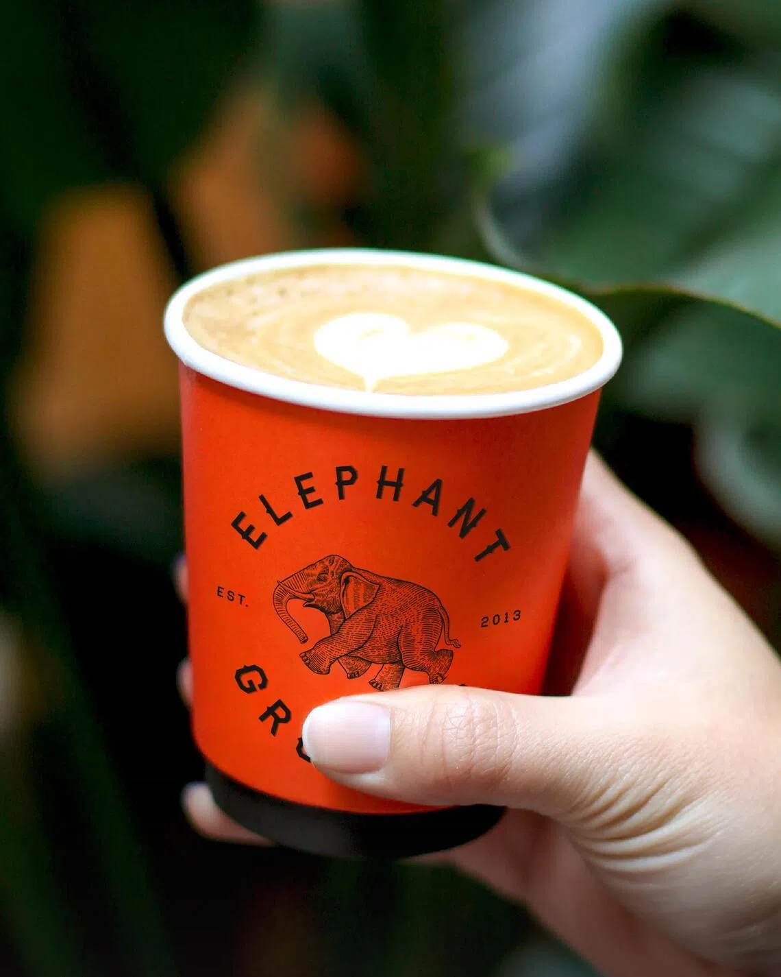 O café caseiro da Elephant Grounds é obtido diretamente de fazendas no leste de Java.