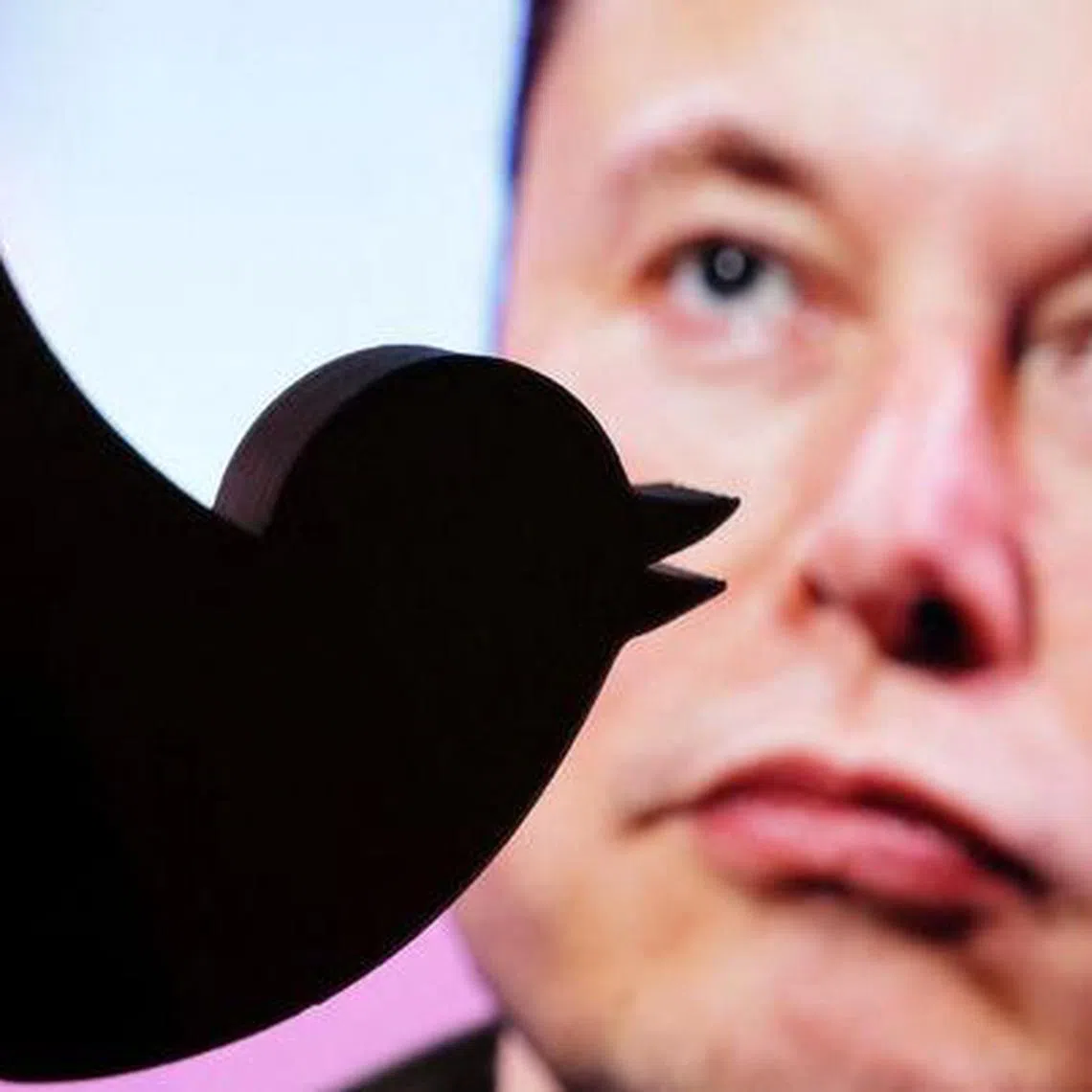 An image of the new Twitter CEO Elon Musk behind a logo of the company.