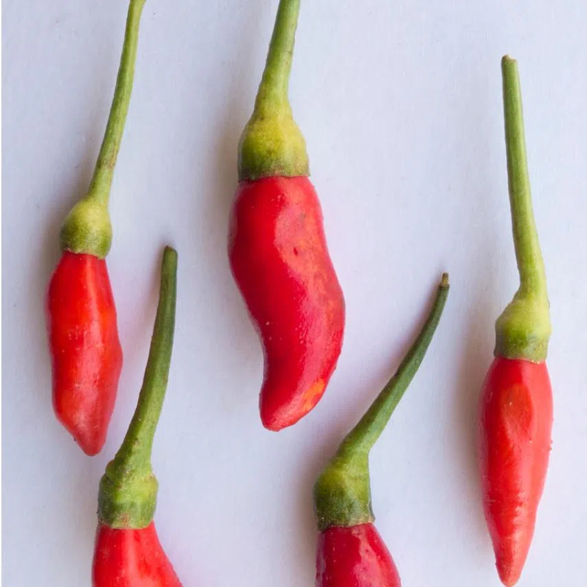 Chilli may well be Singapore’s most indispensable and omnipresent culinary ingredient. It can be a make-or-break, says the writer.