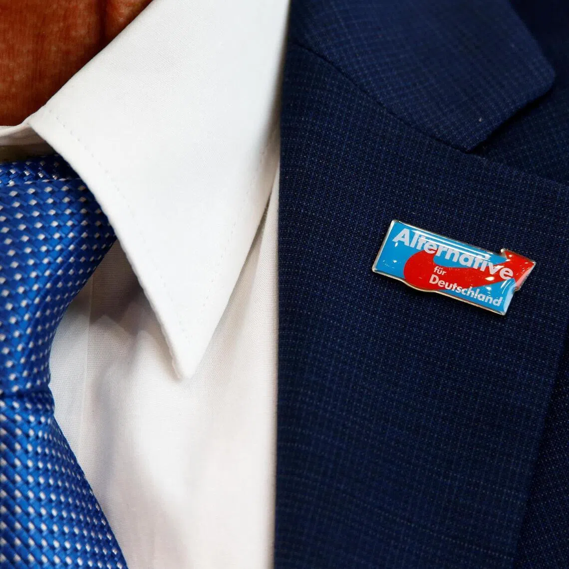 An AfD badge on the jacket of an Alternative for Germany politician.