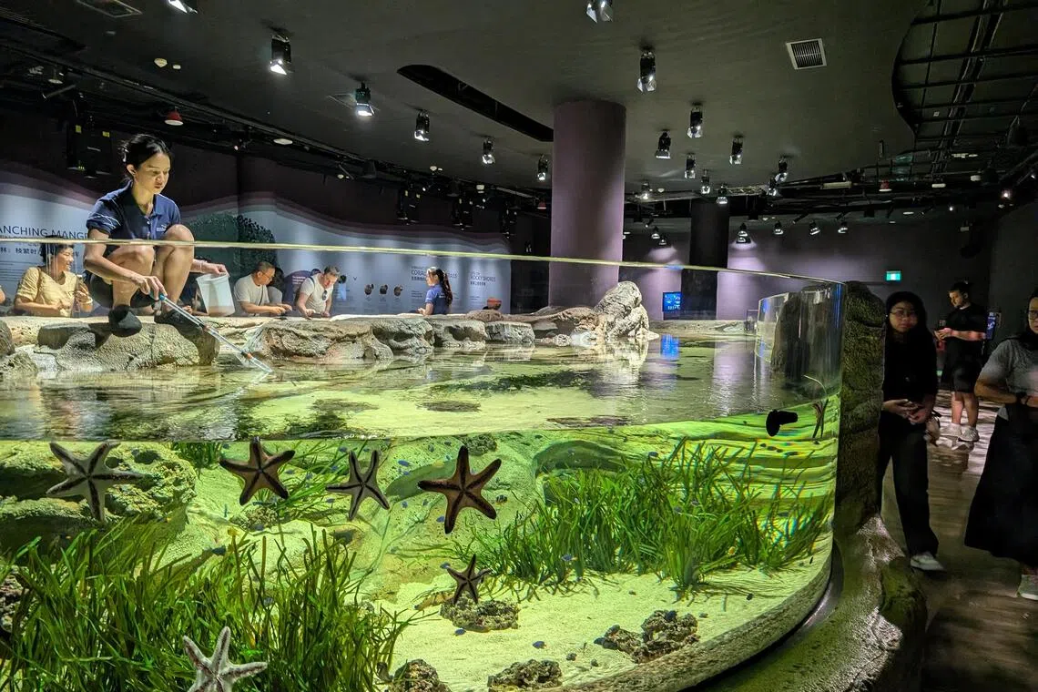 Big Day Out participants will explore the Singapore Oceanarium to complete challenges and pick up clues to solve a mystery.