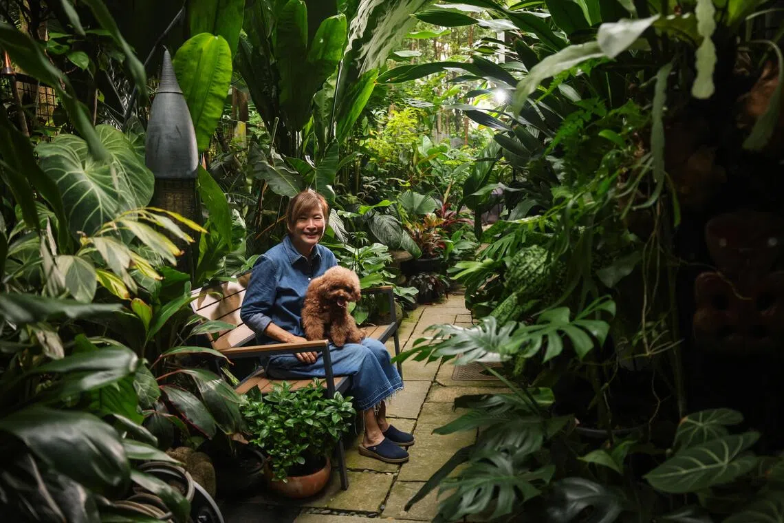 Former ST journalist Irene Ngoo of Min’s Garden fame in her new condo garden on Sept 7.