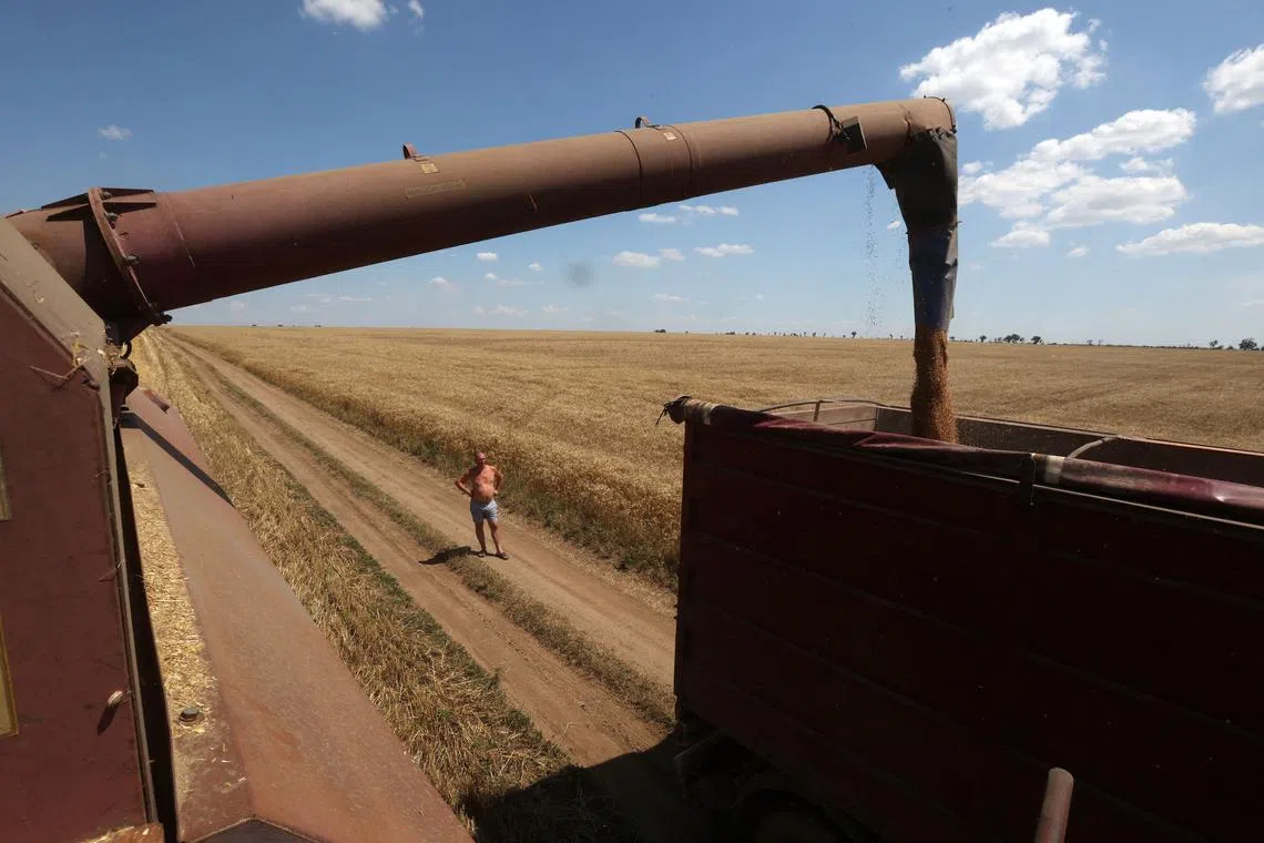 Russia says it could return to the grain deal if its demands are met for rules to be eased for its own exports of food and fertiliser. 