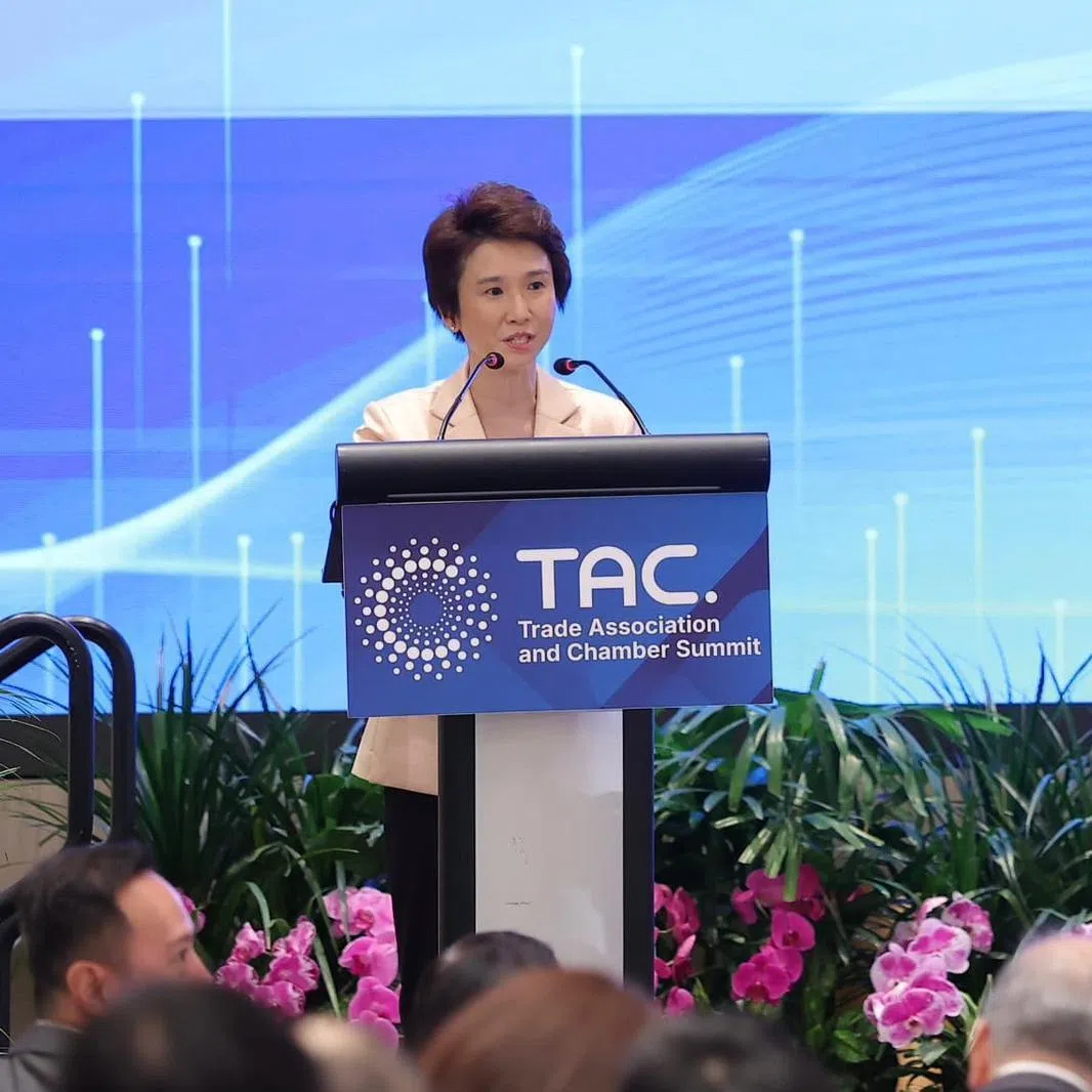 Ms Low Yen Ling, Senior Minister of State for Trade and Industry and Ministry of Culture, Community and Youth, speaking at the second  trade associations and chambers (TACs) summit on April 9.

CREDIT: SINGAPORE BUSINESS FEDERATION