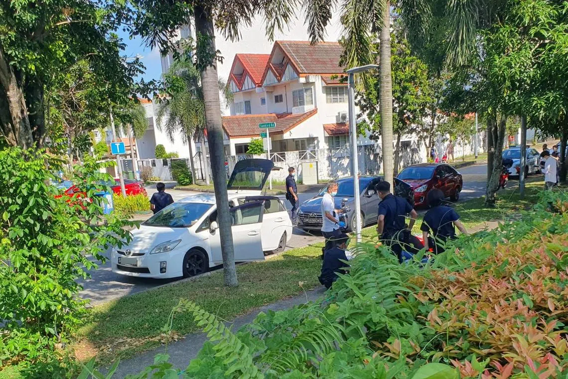 冯凯麟司机暴毙@Sunbird road