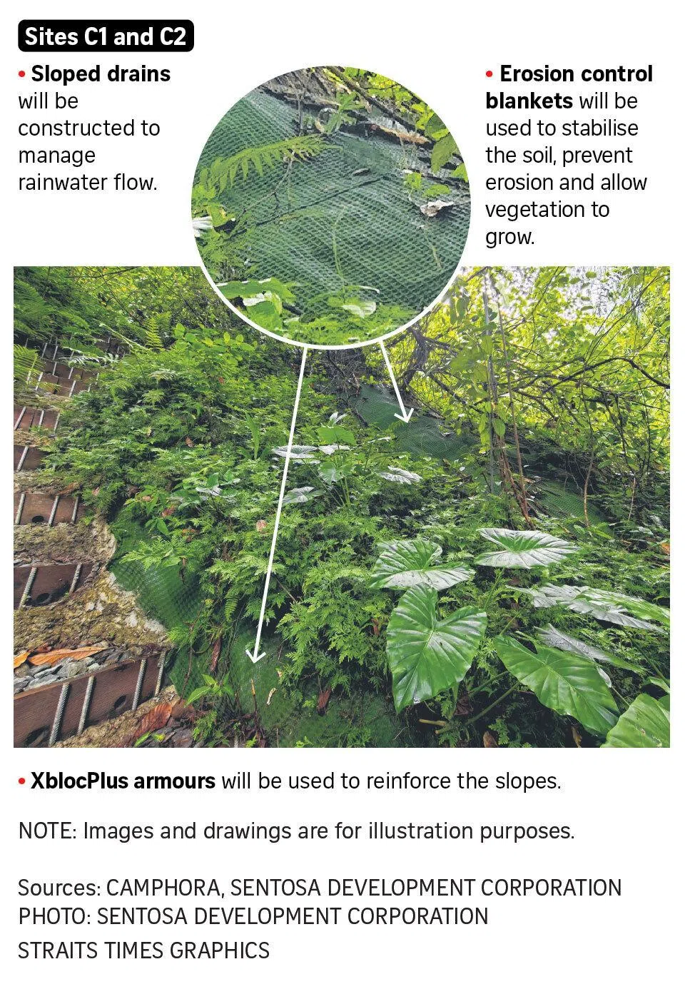 Preventing rockfalls and erosion at Tanjong Rimau - Sites C1 and C2.