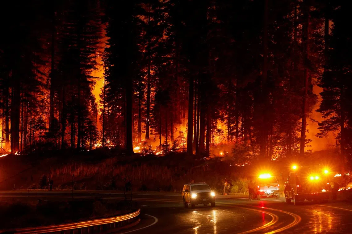 A vehicle passes firefighters standing by the road as the Park Fire burns, near Jonesville, California, U.S., July 28, 2024. REUTERS/Fred Greaves