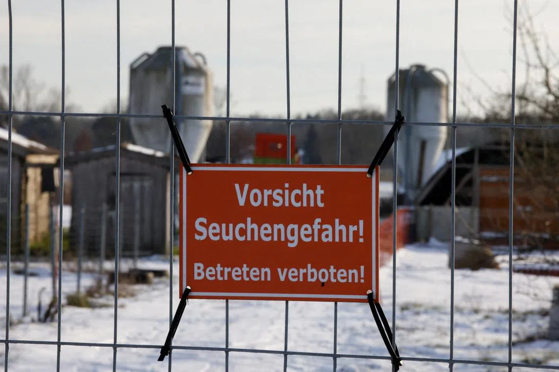FILE PHOTO: A sign with the inscription \"Beware of epidemic danger! No trespassing!\" hangs on a fence in front of a farm in Mehrow, close to Ahrensfelde, Germany, January 13, 2025.  REUTERS/Axel Schmidt/File Photo