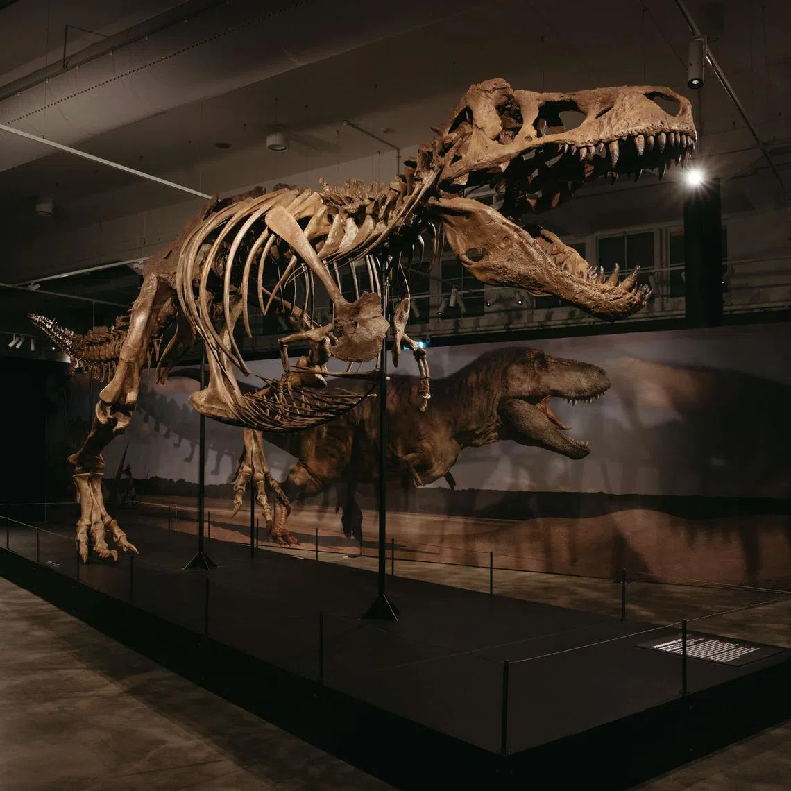 Its centrepiece is a 40-metre life-sized cast of the Patagotitan mayorum, one of the largest dinosaurs to roam the Earth.