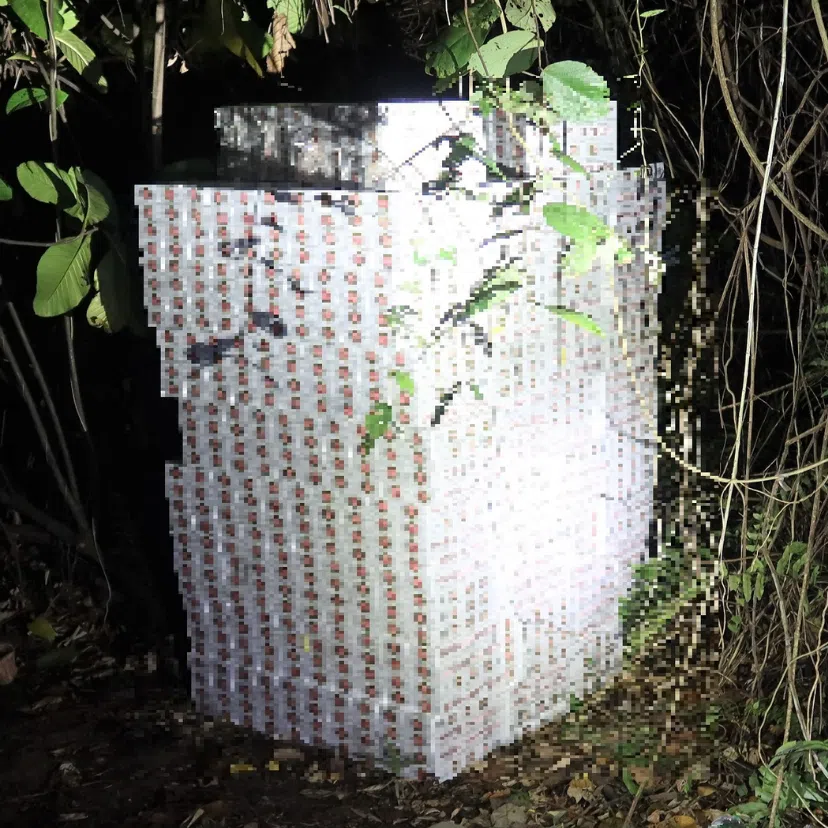 The cartons of duty-unpaid cigarettes were found hidden in the parked bowser and a nearby forested area.