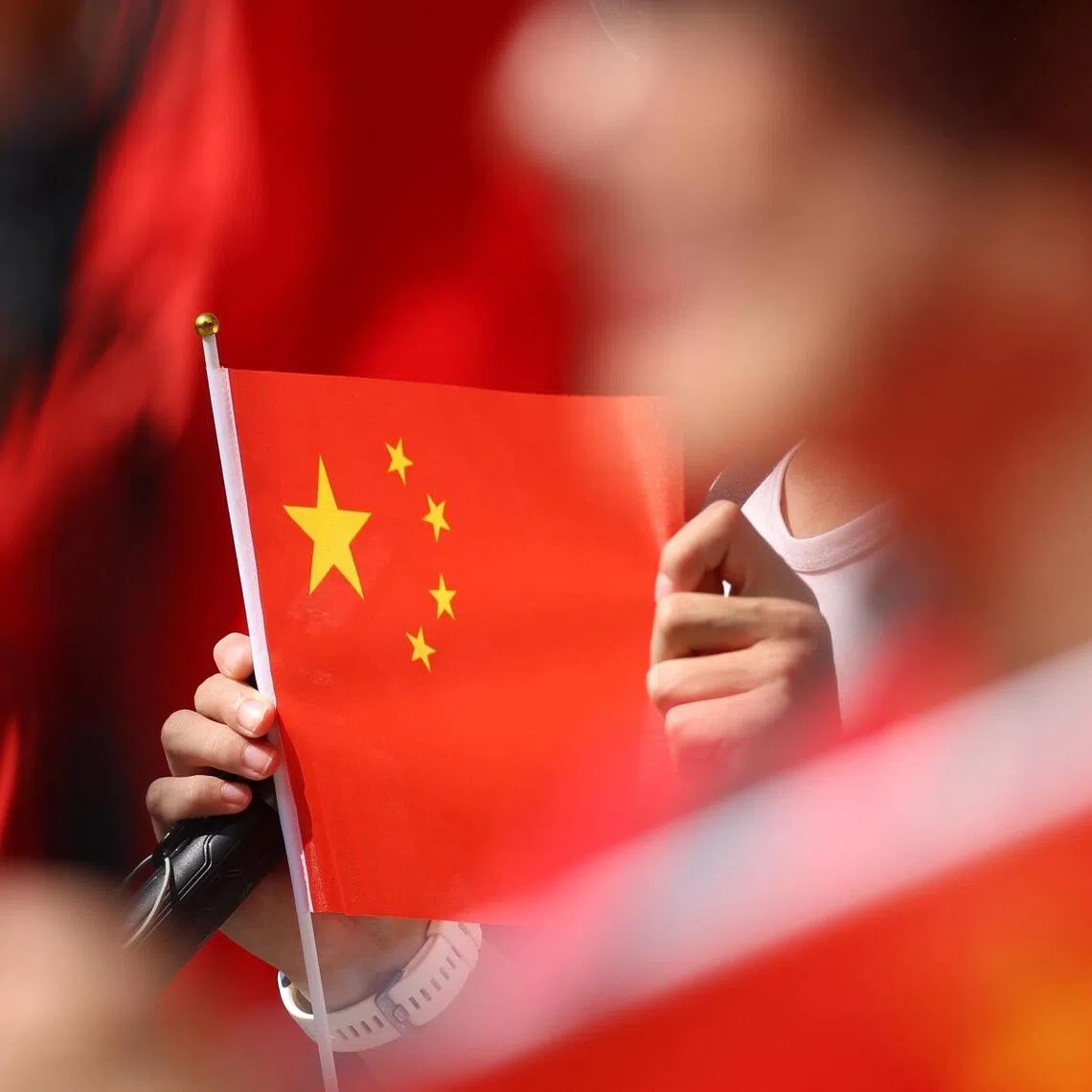 The court noted that heritage-related crimes in China are becoming increasingly professionalised.