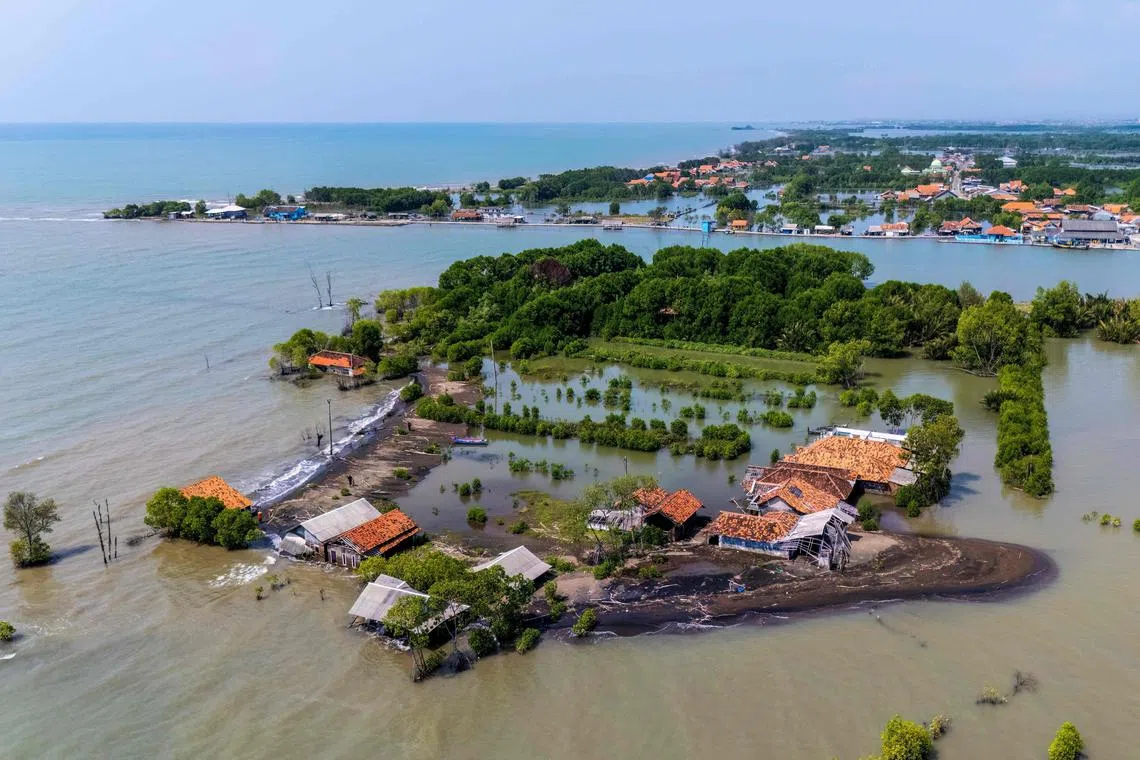 Can a giant sea wall save Indonesia’s disappearing coast?