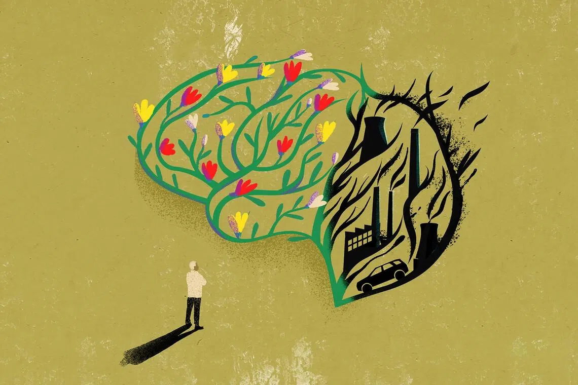 Studies increasingly find links between higher concentrations of certain pollutants and the prevalence of dementia.