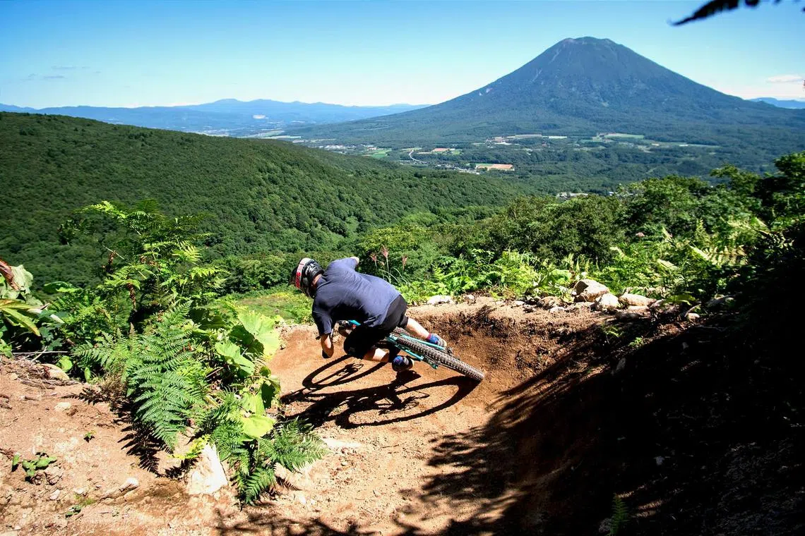 Niseko aims to one day be an all-year tourist destination that is as famous for its powder snow as its mountain biking trails.