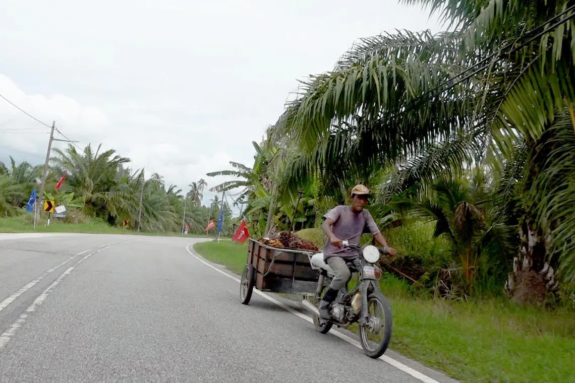 Malaysia’s palm oil industry is heavily reliant on foreign labour. 