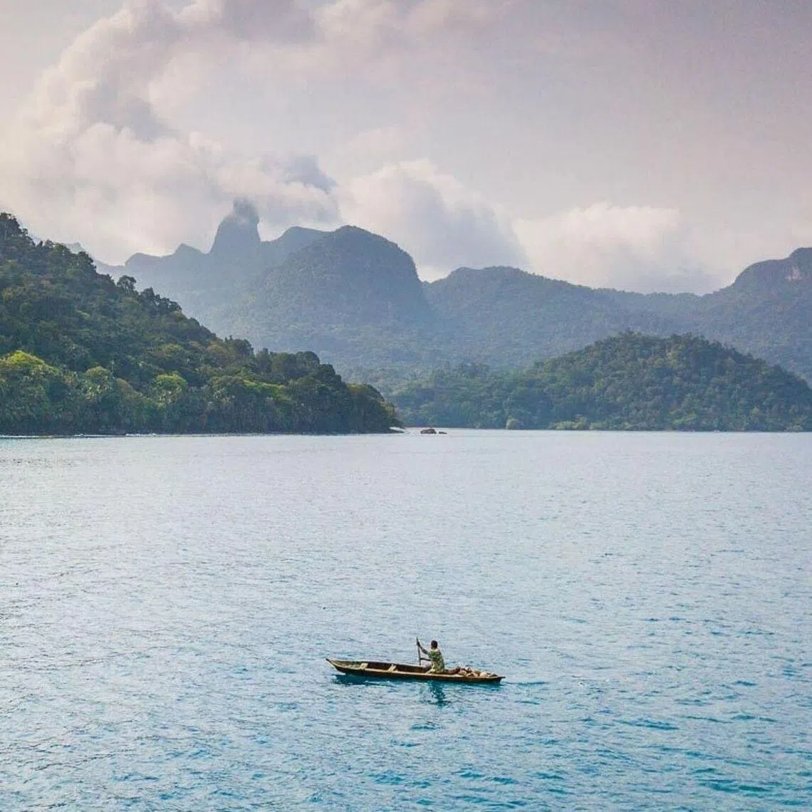 Principe is the smaller of the two main islands of the nation of Sao Tome and Principe. UNESCO has designated Principe a biosphere reserve.