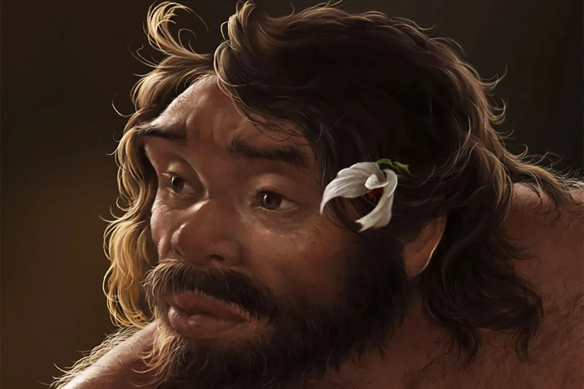 This artist's impression shows the head of an adult male individual who lived roughly 1 million years ago in China's Hubei Province, based on the digital reconstruction of a fossilized archaic human skull, called Yunxian 2 in this image released on September 25, 2025. Jiannan Bai and Xijun Ni/Handout via REUTERS