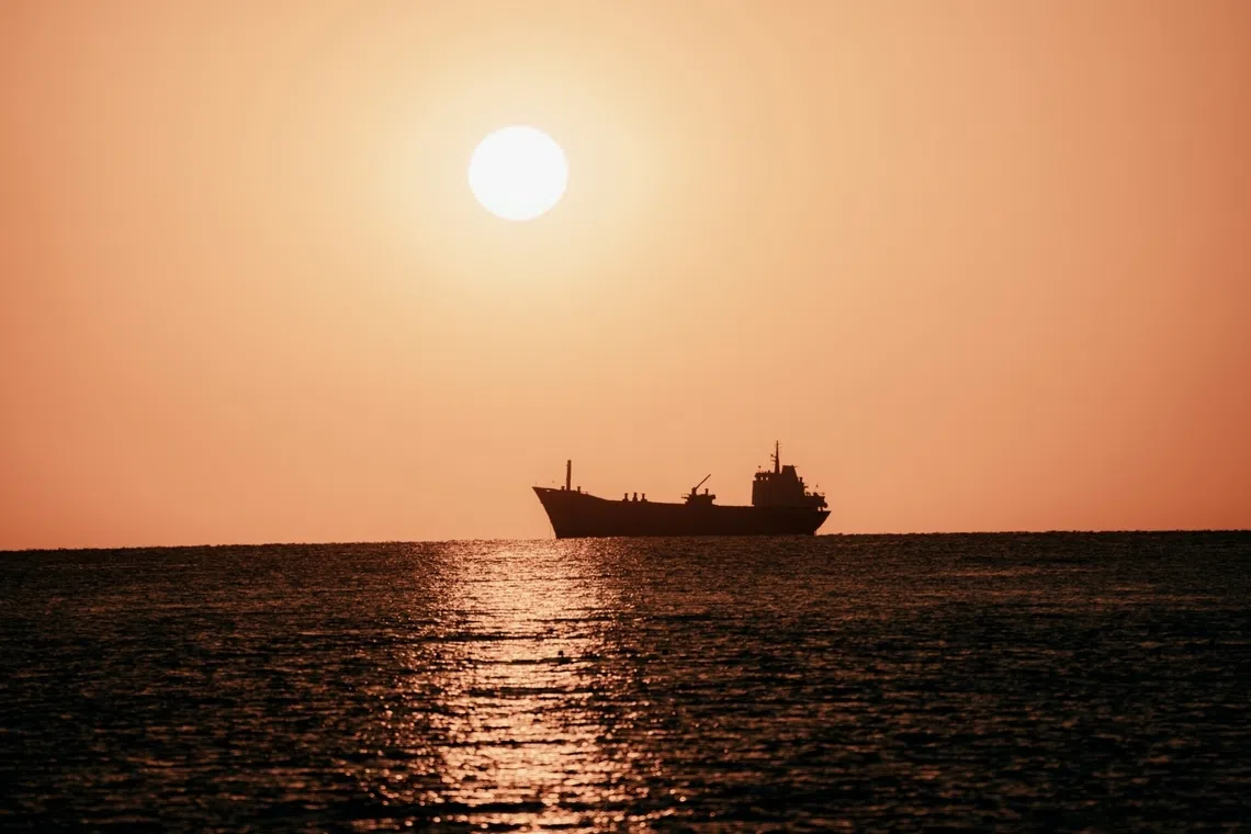 Noah was able to fit a breeding pair of each of the 5.6 million or so terrestrial species onto his 300 cubits-long ark.