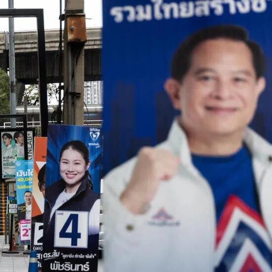 A gallery of party posters ahead of Thailand's Feb 8 election offers voters a choice of candidates but the likely result is yet another fragile government.