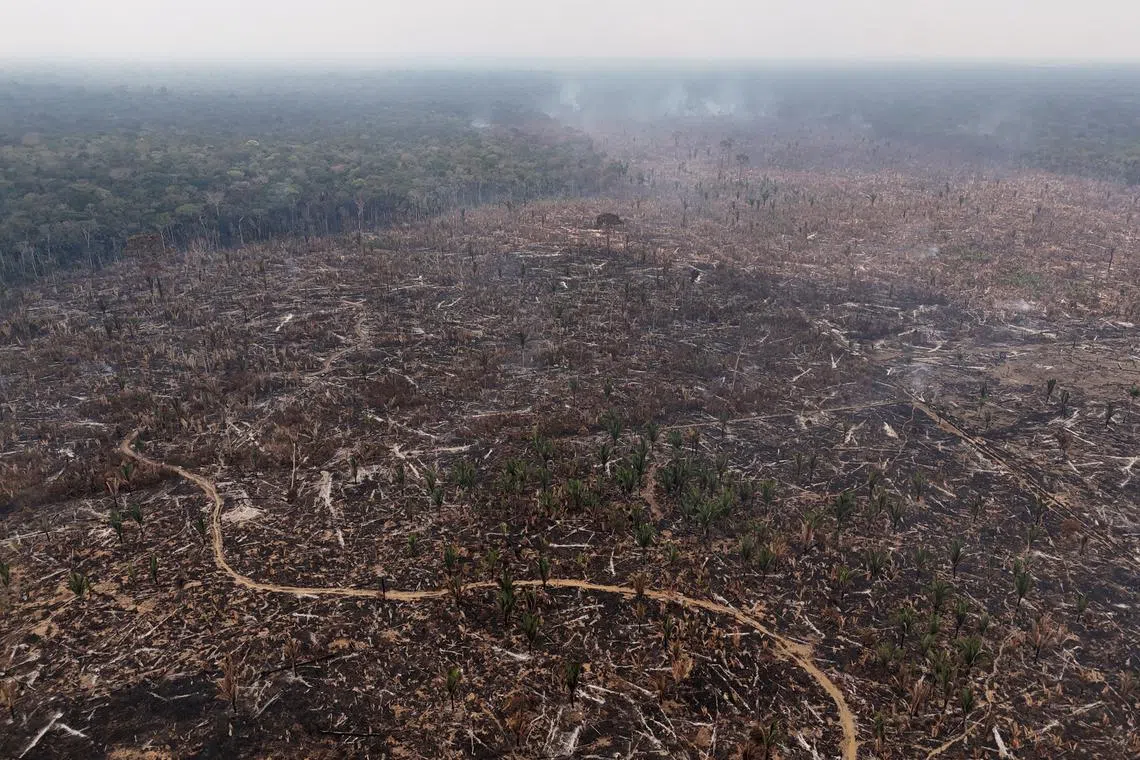 FILE PHOTO: A drone view shows deforested land ready for agriculture near the Madeira river in Humaita in Amazonas state, Brazil, September 4, 2024. REUTERS/Bruno Kelly/File Photo