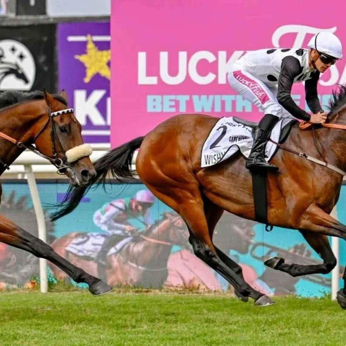 Wish List (Richard Fourie) claiming the Grade 1 Cape Derby (2,000m) at Kenilworth on Feb 28. The Justin Snaith-trained galloper contests the Grade 1 Durban July (2,200m) at Greyville on July 4.

PHOTO: RACE COAST/CHASE LIEBENBERG