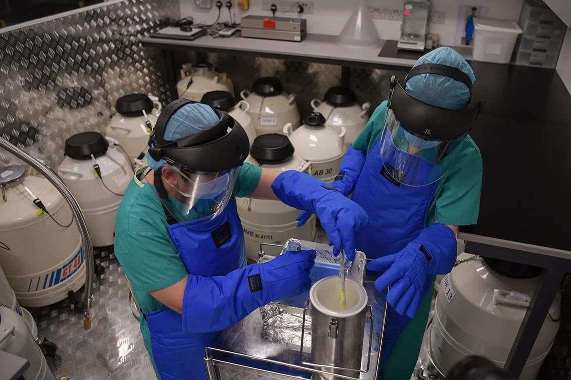 ST20230620_202394977514/Shintaro Tay/Jean Iau/ STEP 4 The eggs are placed in tanks where they can be frozen forever, said Ms Mathew, noting that each tank holds the eggs of up to 150 patients. Ahead of the implementation of elective egg freezing in Singapore, at NUH, where eggs are frozen and stored, was on showcase to The Straits Times on June 20, 2023.