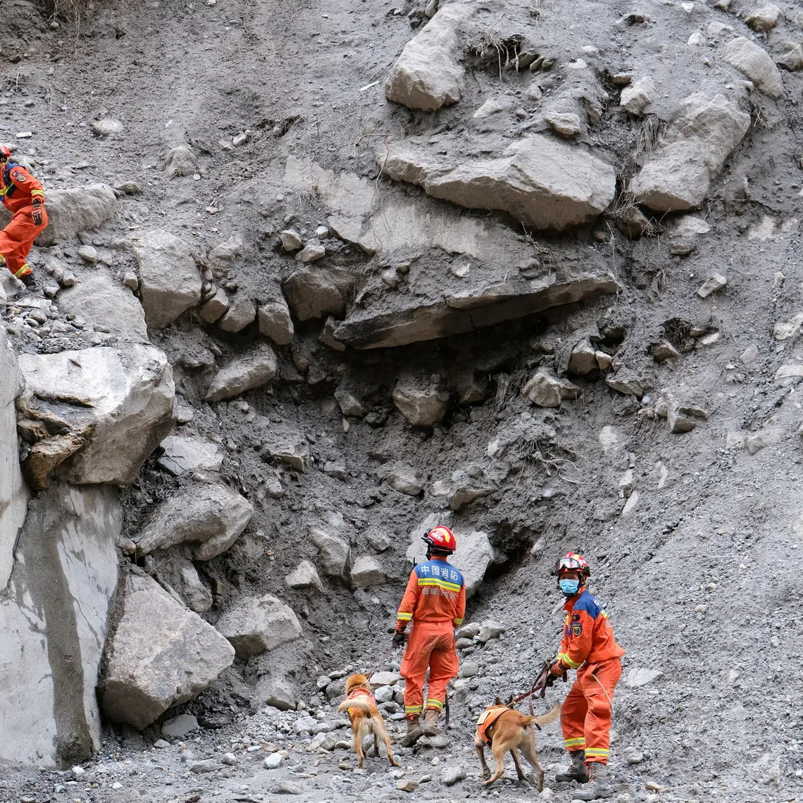 Firefighters and sniffer dogs conducting a search for missing people along a road leading towards Gyirong Port after a mudslide, in Shigatse, Tibet Autonomous Region, China on Aug 30.