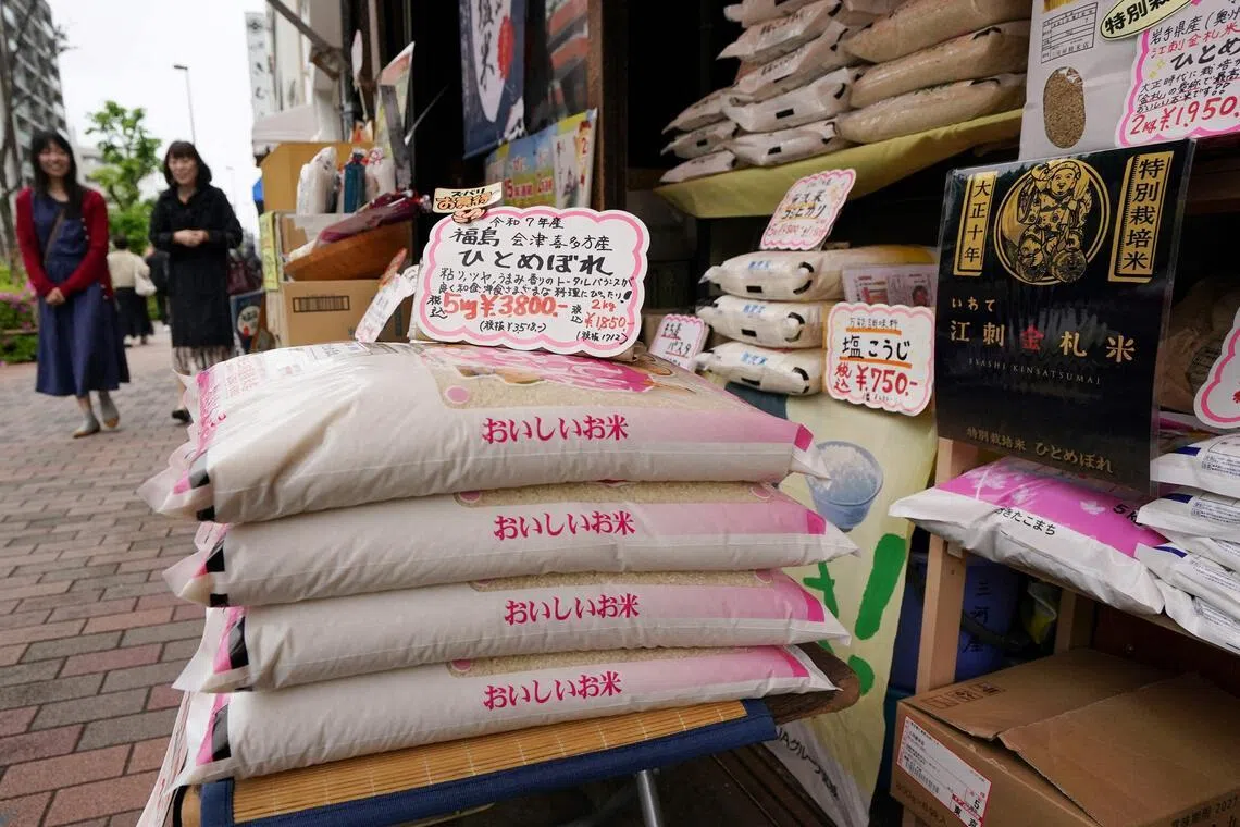 Japan government urges use of rice flour amid slump in consumption of staple