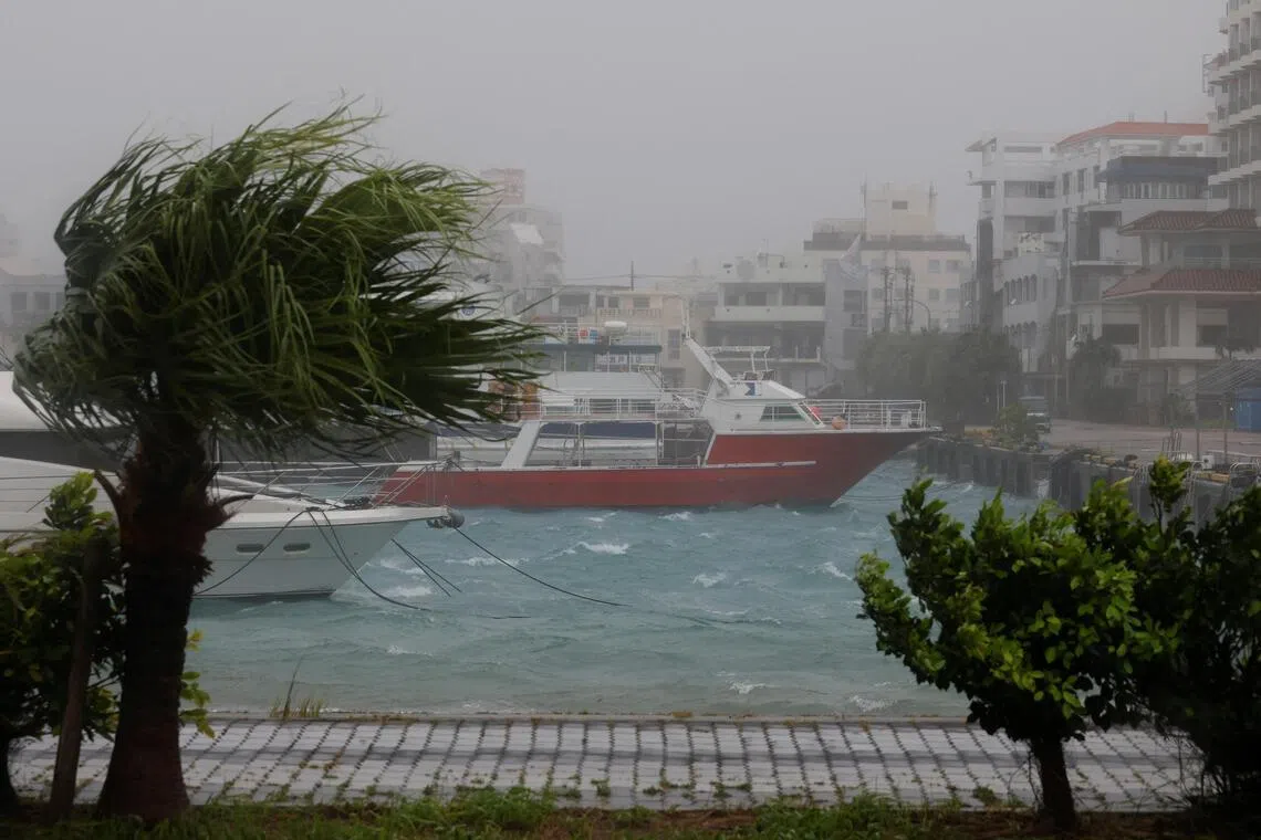 Strong wind rattles trees at a port as Typhoon Bavi passes through, in Ishigaki, Japan, July 11.