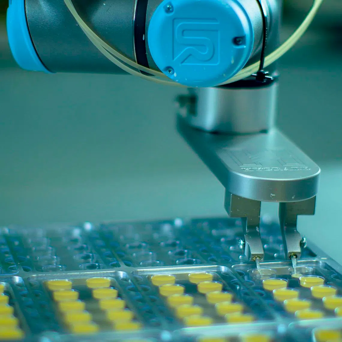 wafers manufacturing