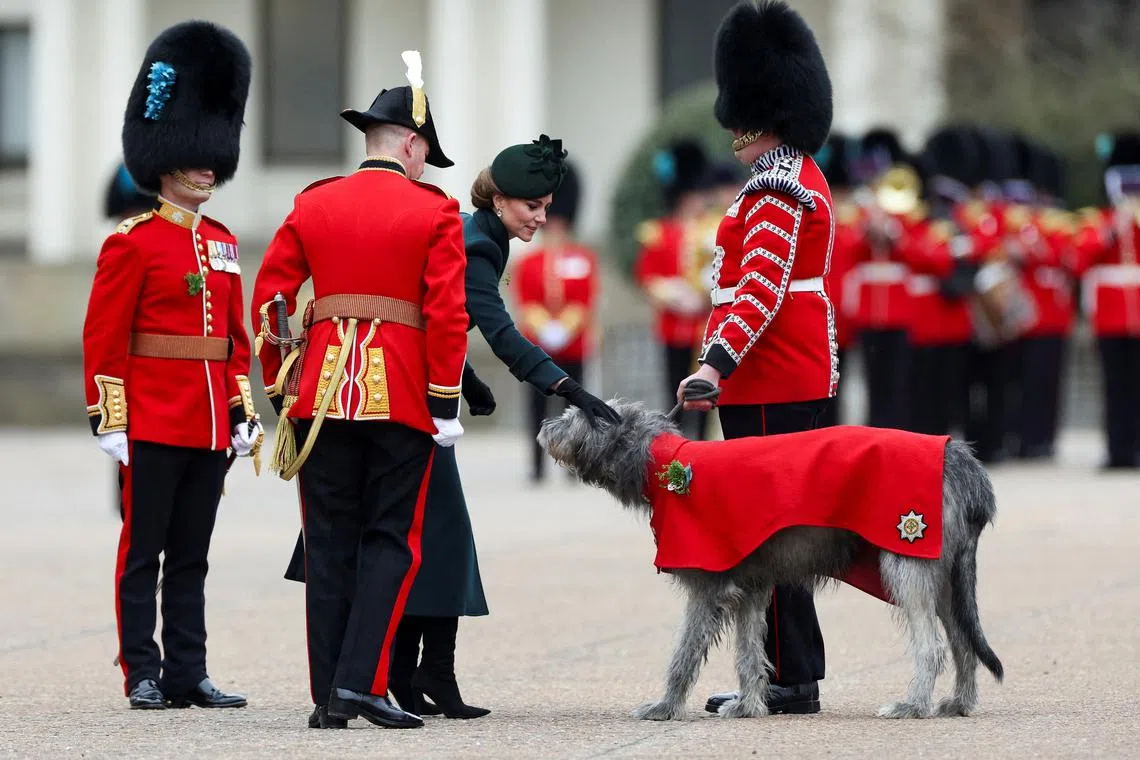 Britain's Catherine, Princess of Wales, petting Irish Wolfhound regimental mascot Turlough Mor, also known as Seamus, during St. Patrick's Day Parade at Wellington Barracks in London, Britain, on Mar 17, 2025. 